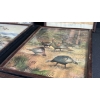 Image 2 : VINTAGE LYNN BOGUE HUNT WILDLIFE PRINTS