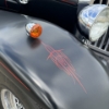 Image 31 : 1985 SHARK CUSTOM ROADSTER