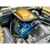 Image 22 : 1978 Y88 GOLD SPECIAL EDITION TRANS AM