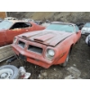 Image 2 : 1980 PONTIAC TRANS AM 