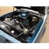 Image 33 : NO RESERVE 1981 PONTIAC TRANS AM