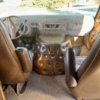 Image 17 : 1976 DODGE TRADESMAN 200