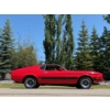 Image 19 : 1973 FORD MUSTANG MACH I 351 COBRA JET