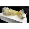 Image 1 : OIL PICKUP TUBE