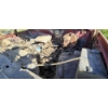 Image 10 : NO RESERVE 1981 FORD F-250 RANGER