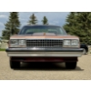 Image 3 : 1982 CHEVROLET EL CAMINO CONQUISTA