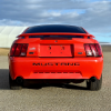 Image 12 : 2004 FORD MUSTANG GT 40th ANNIVERSARY EDITION
