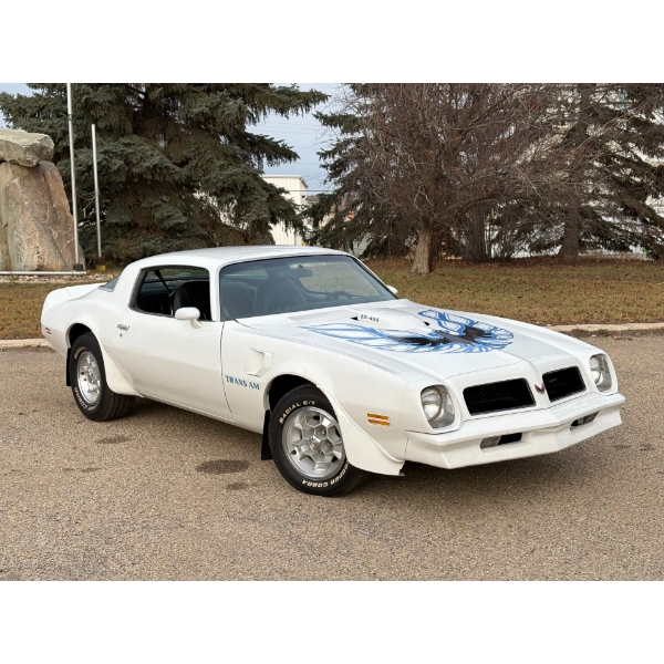NO RESERVE 1976 PONTIAC TRANS AM