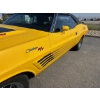 Image 9 : 1974 DODGE CHALLENGER RT