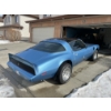 Image 5 : 1981 PONTIAC TRANS AM TURBO