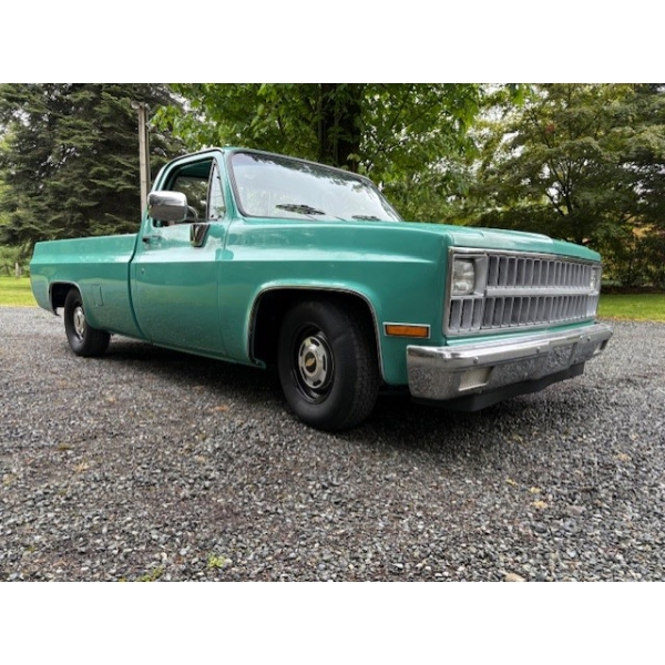 1982 CHEVROLET C10