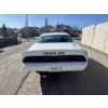Image 8 : 1979 PONTIAC TRANS AM