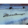 Image 8 : 1959 MONARCH LUCERNE