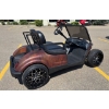 Image 4 : 2010 CUSTOM RAT ROD GOLF CART