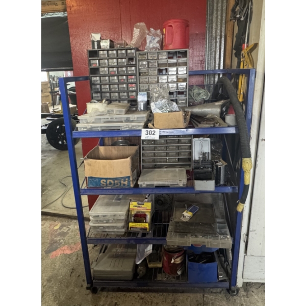 Shelving Unit of Assorted Bolts (Blue Shelf)