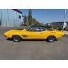 Image 2 : 1974 DODGE CHALLENGER RT