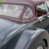 Image 28 : 1985 SHARK CUSTOM ROADSTER