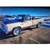 Image 1 : 1984 DODGE D250