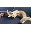 Image 4 : ASSORTED LONGHORN MOUNTS & ANTLERS