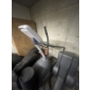 Image 2 : NO RESERVE Gym Equipment LOCATED IN VICTORIA, BC