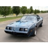 Image 14 : NO RESERVE 1981 PONTIAC TRANS AM