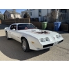 Image 2 : 1979 PONTIAC TRANS AM