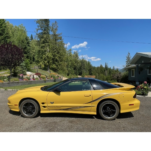 2002 PONTIAC FIREBIRD TRANS AM WS6