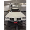 Image 6 : 1975 OLDSMOBILE DELTA 88 ROYALE CONVERTIBLE