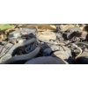 Image 9 :  NO RESERVE 1980 FORD F-150 LARIAT