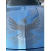 Image 7 : 1981 PONTIAC TRANS AM TURBO