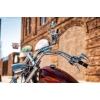 Image 5 : 2007 OCC T-REX SOFTAIL 