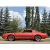 Image 7 : 1980 CHEVROLET CAMARO Z28