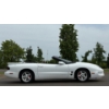 Image 18 : NO RESERVE 1999 PONTIAC TRANS AM CONVERTIBLE
