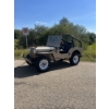 Image 2 : 1948 WILLY'S JEEP