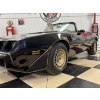 Image 12 : 1980 PONTIAC TRANS AM TURBO CONVERTIBLE