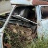Image 8 : 10 - 1953  FORD CUSTOM – FOR PARTS ONLY