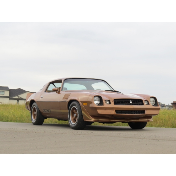 1979 CHEVROLET CAMARO Z28