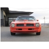 Image 2 : 1976 PONTIAC FIREBIRD TRANS AM 