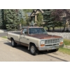 Image 6 : 1984 DODGE D250