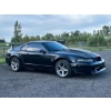 Image 2 : 1999 FORD MUSTANG COBRA TRIBUTE