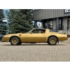 Image 6 : 1978 Y88 GOLD SPECIAL EDITION TRANS AM