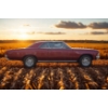 Image 5 : 1966 CHEVROLET MALIBU