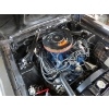 Image 14 : 1967 FORD MUSTANG GTA