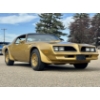 Image 3 : 1978 Y88 GOLD SPECIAL EDITION TRANS AM