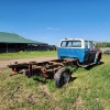 Image 6 : 1979 FORD F600