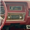 Image 13 : 1974 PONTIAC LEMANS GT