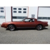 Image 2 : 1978 CHEVROLET CAMARO LT/TYPE
