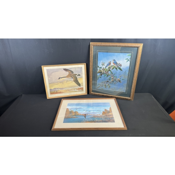 3 ASSORTED FRAMED WILDLIFE & NATURE PRINTS