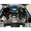 Image 35 : NO RESERVE 1981 PONTIAC TRANS AM
