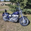 Image 6 : 2000 HARLEY DAVIDSON FXD SUPERGLIDE